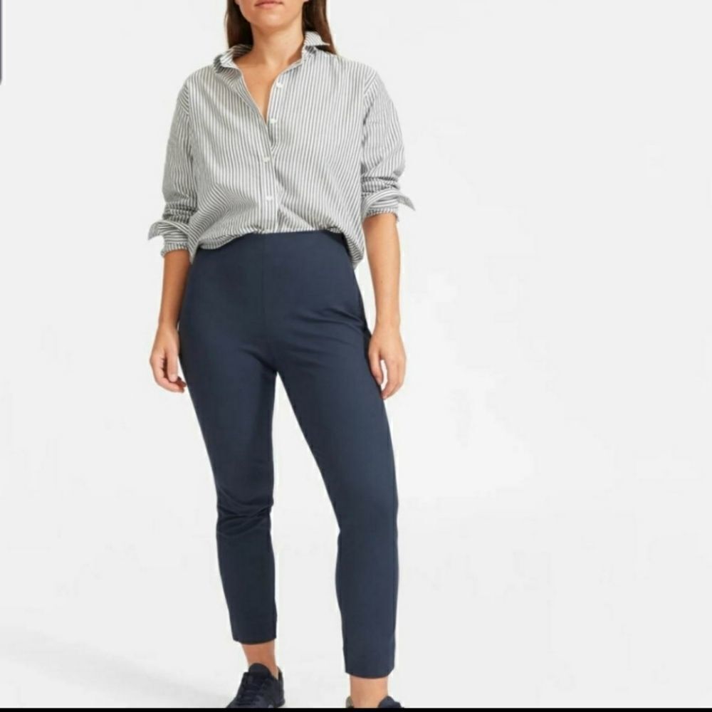 Everlane light blue side zip stretch work pants